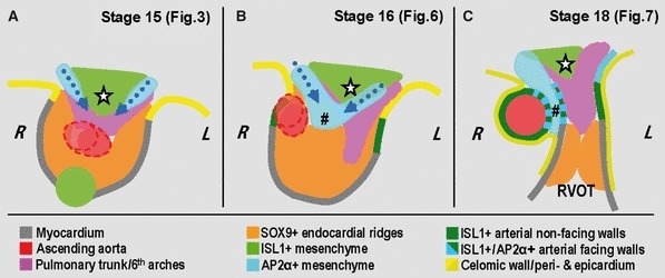 Fig. 8