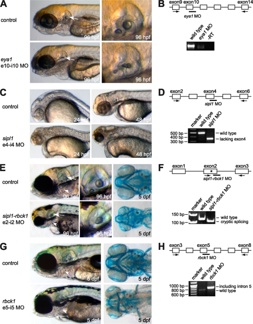 FIG. 6.