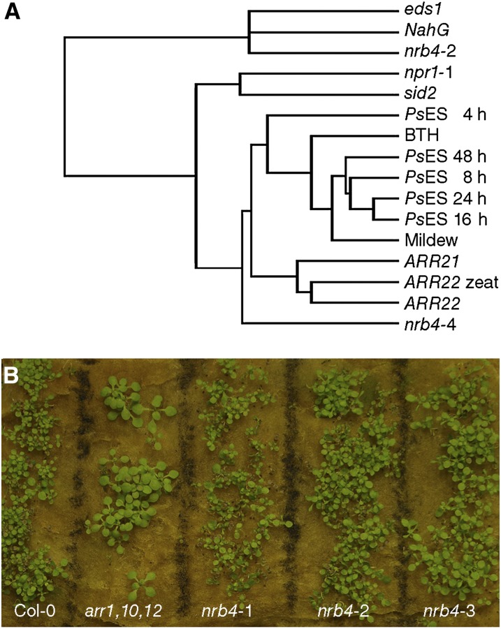 Figure 6.