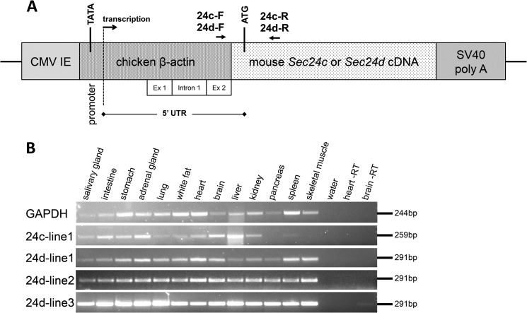 FIGURE 6.