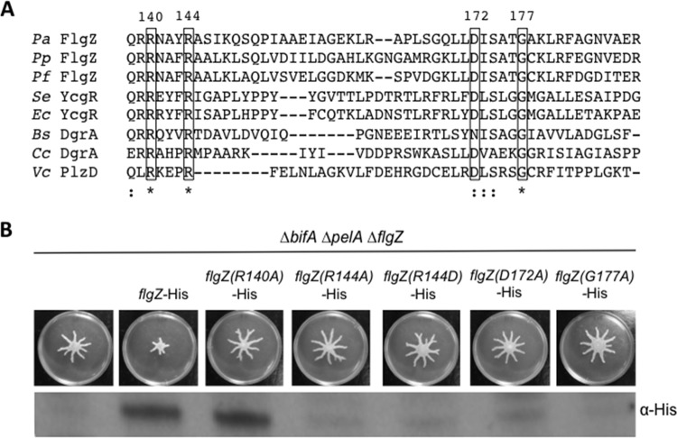 FIG 2