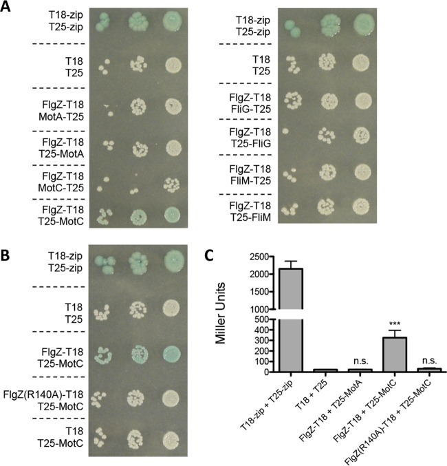 FIG 3