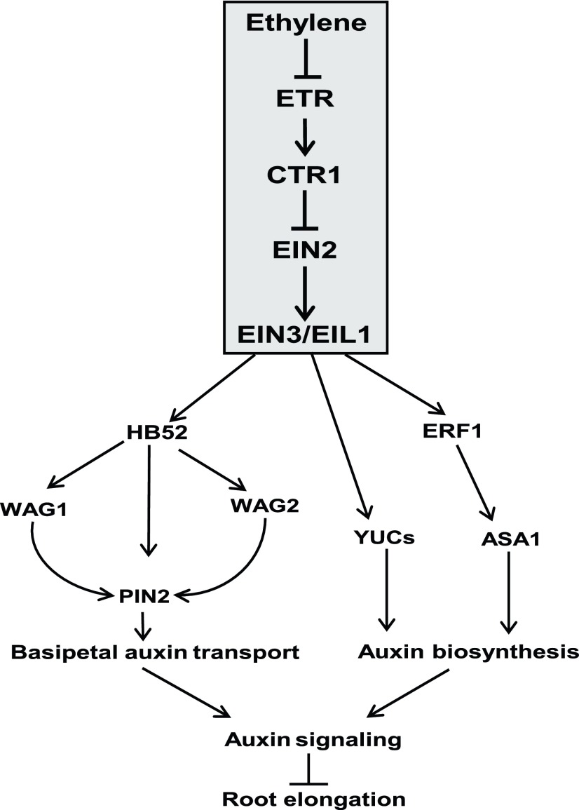 Figure 10.