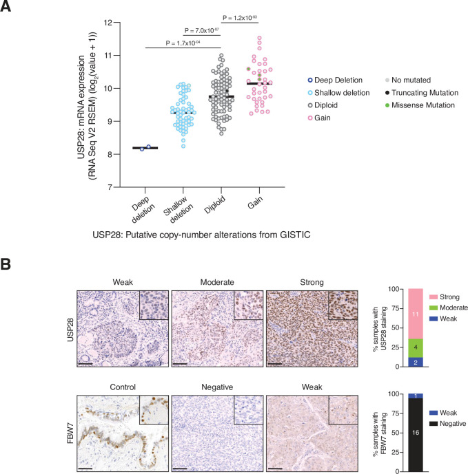 Figure 1—figure supplement 2.