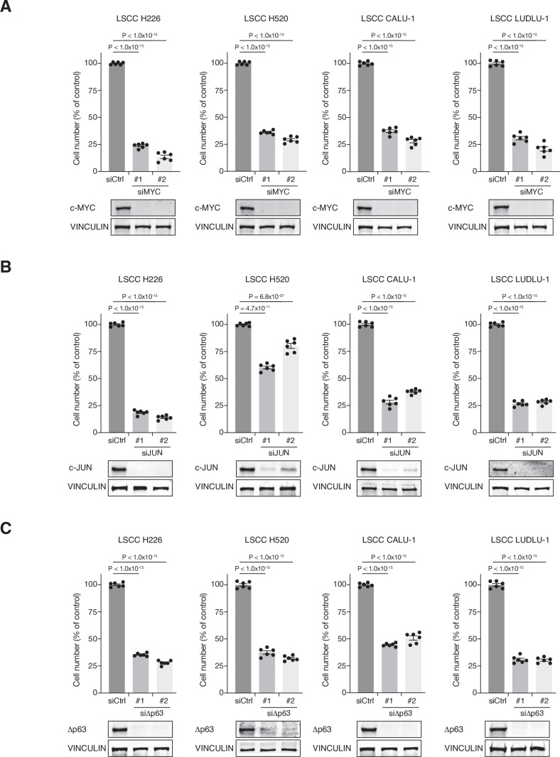 Figure 1—figure supplement 1