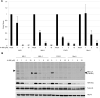 Fig 9