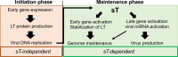 Fig 10