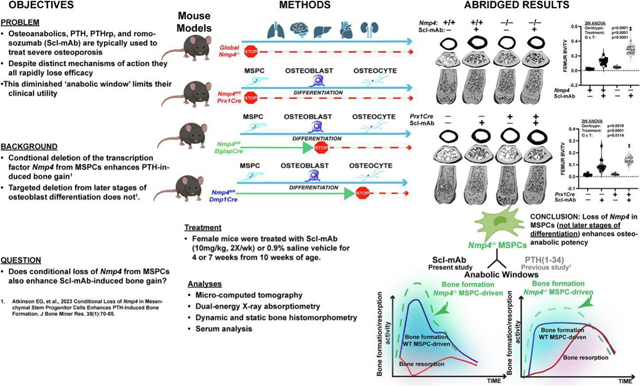 graphic file with name nihms-1933451-f0001.jpg