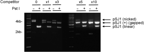 Figure 2.