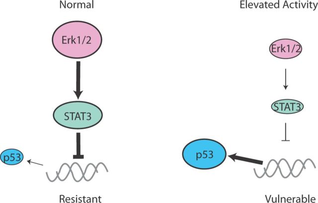 Figure 9.