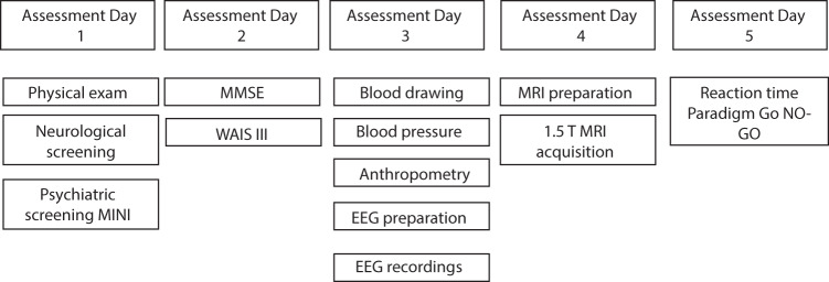 Fig. 1