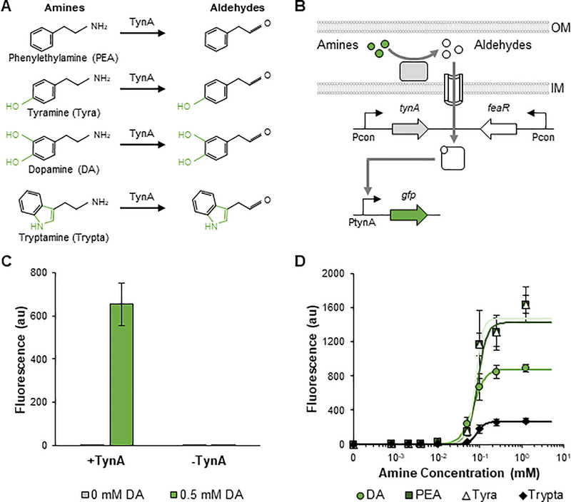 Figure 3: