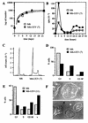 FIG. 11