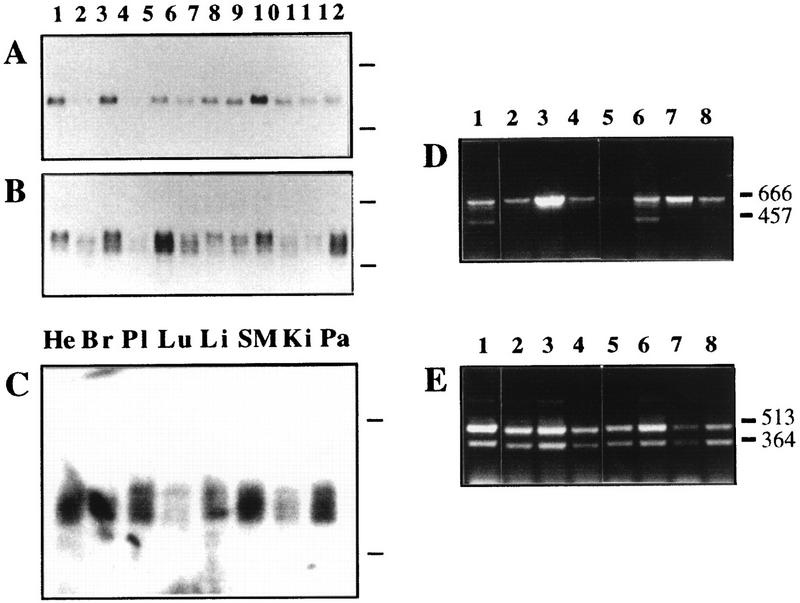 FIG. 7