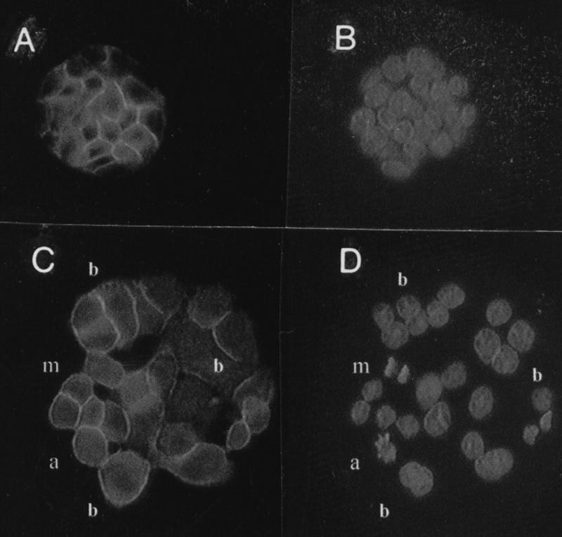 FIG. 12