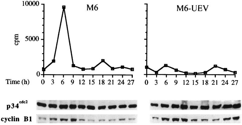 FIG. 13