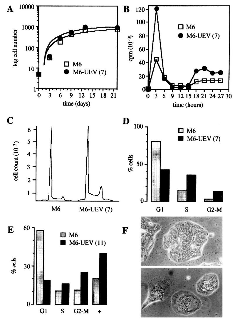 FIG. 11