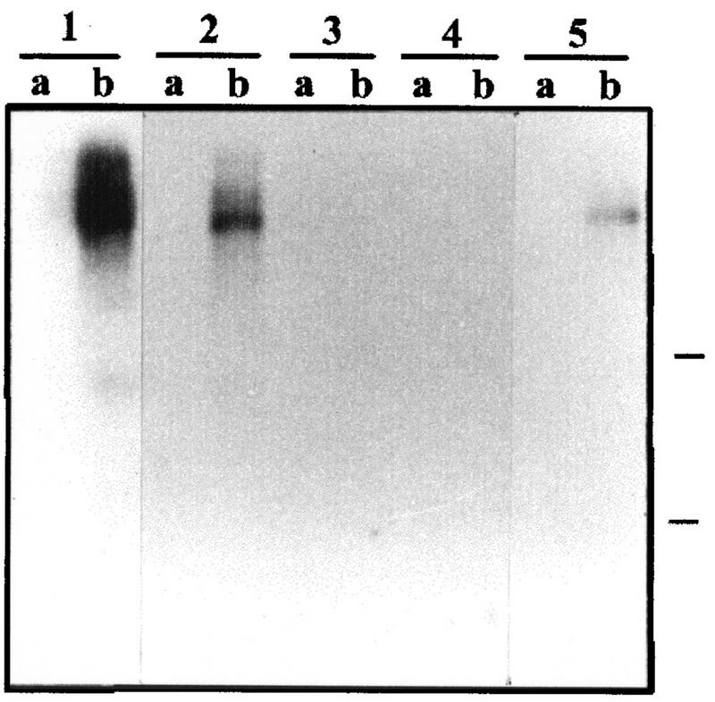 FIG. 10