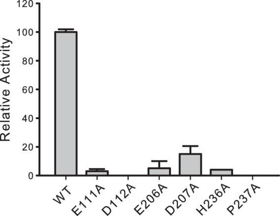 FIG 4