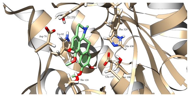 Figure 5