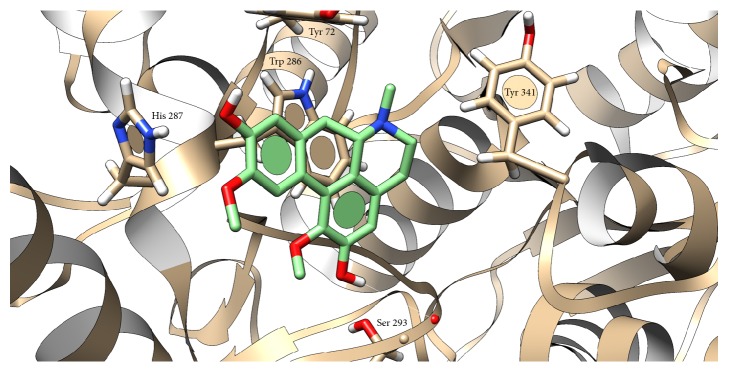 Figure 6