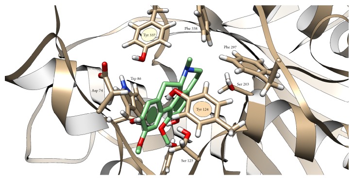 Figure 4