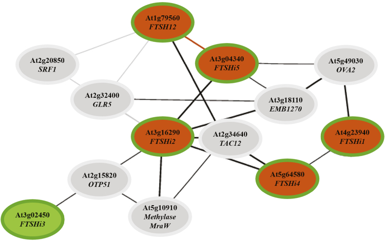 Fig. 2.