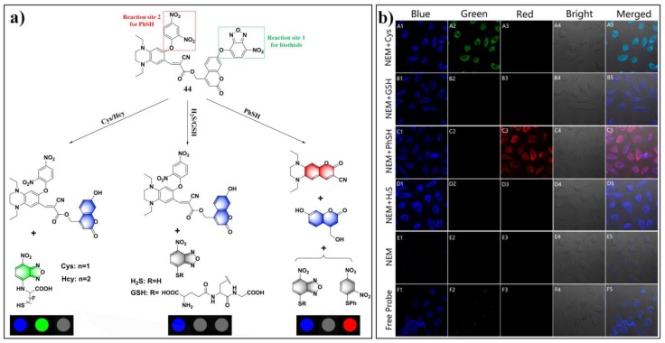 Figure 19