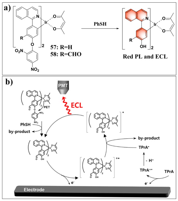 Figure 24