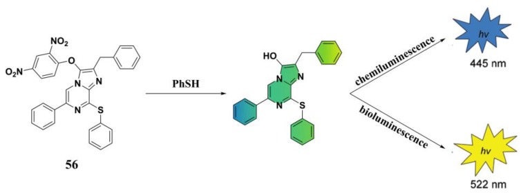 Figure 23