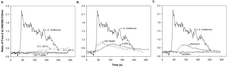 FIG. 4.