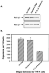 FIG. 7.