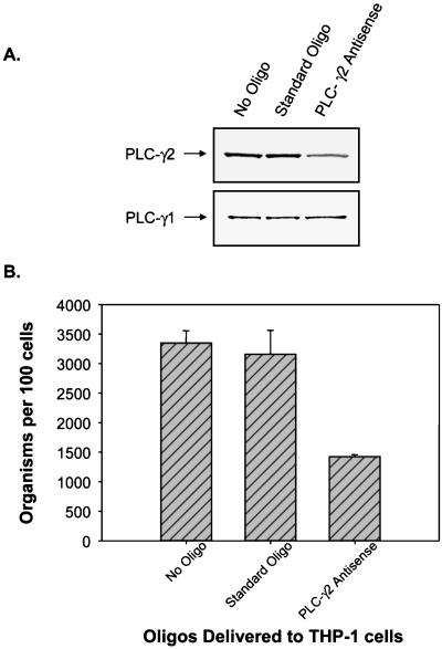 FIG. 7.