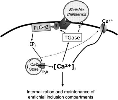 FIG. 8.