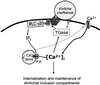 FIG. 8.