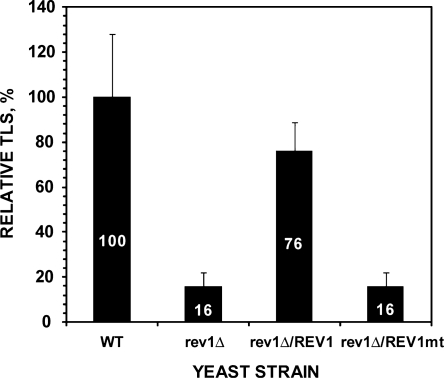 Figure 5.