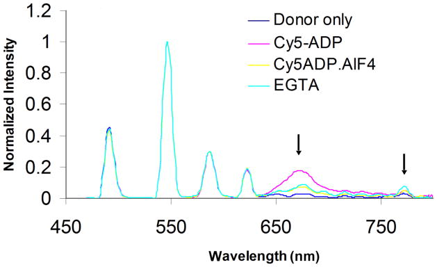 Fig. 4