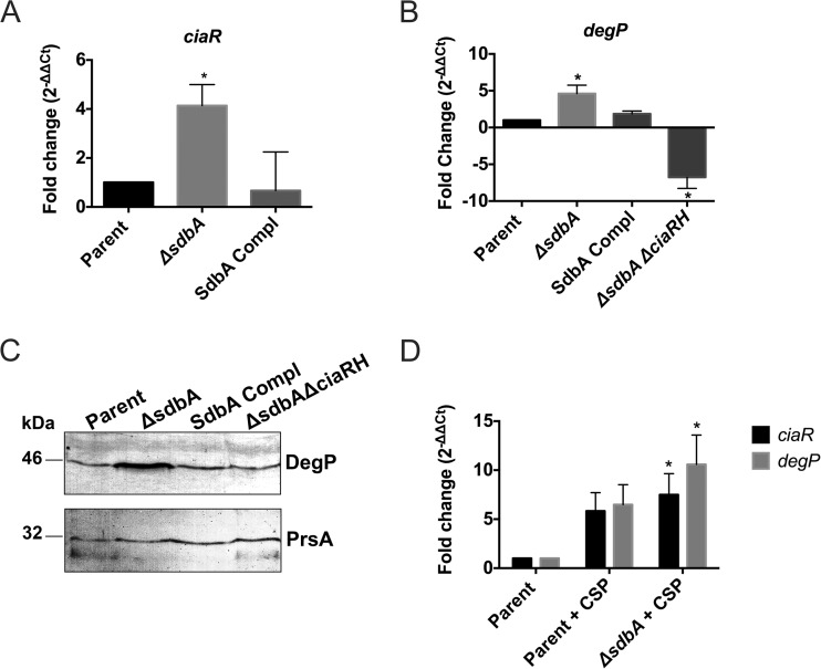 FIG 4