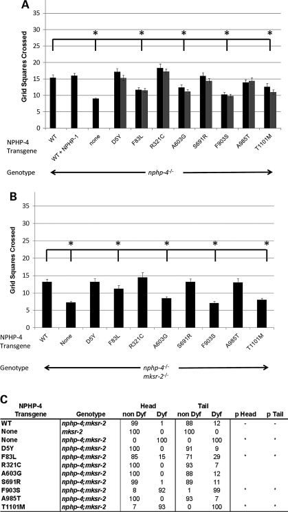 Figure 4.