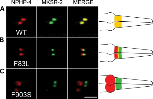 Figure 3.