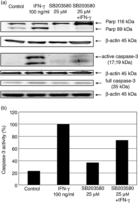 Fig. 11