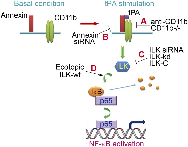 Figure 7.