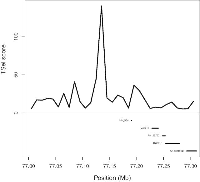 Fig. 8.