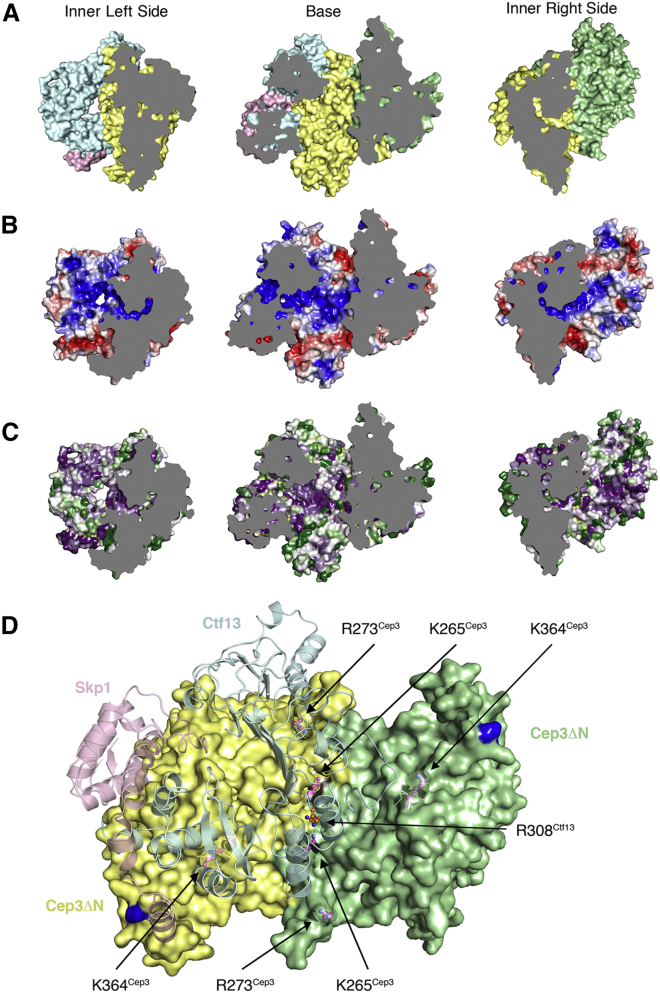 Figure 3