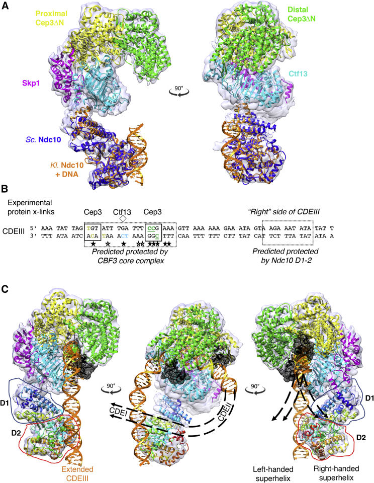 Figure 6