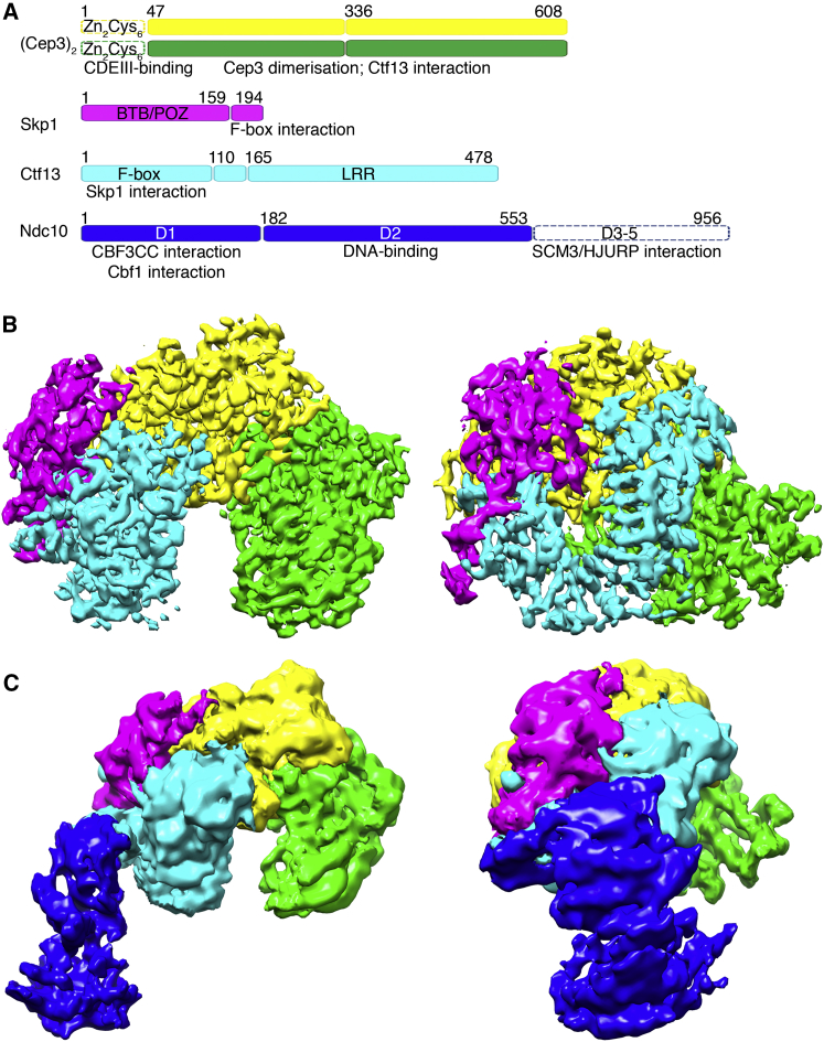 Figure 1