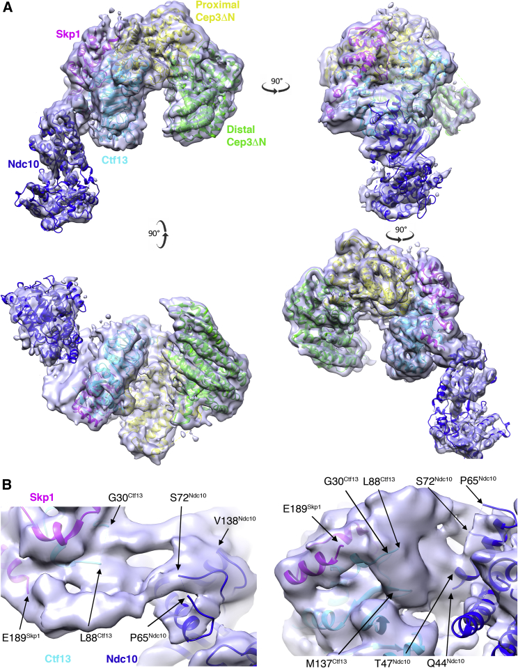 Figure 5