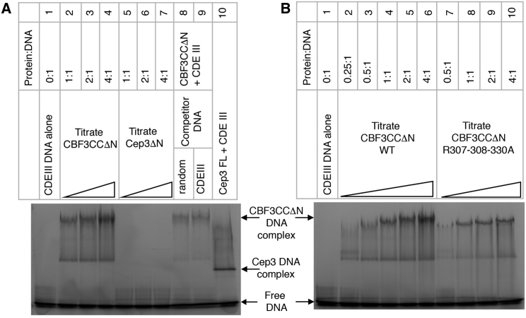 Figure 4