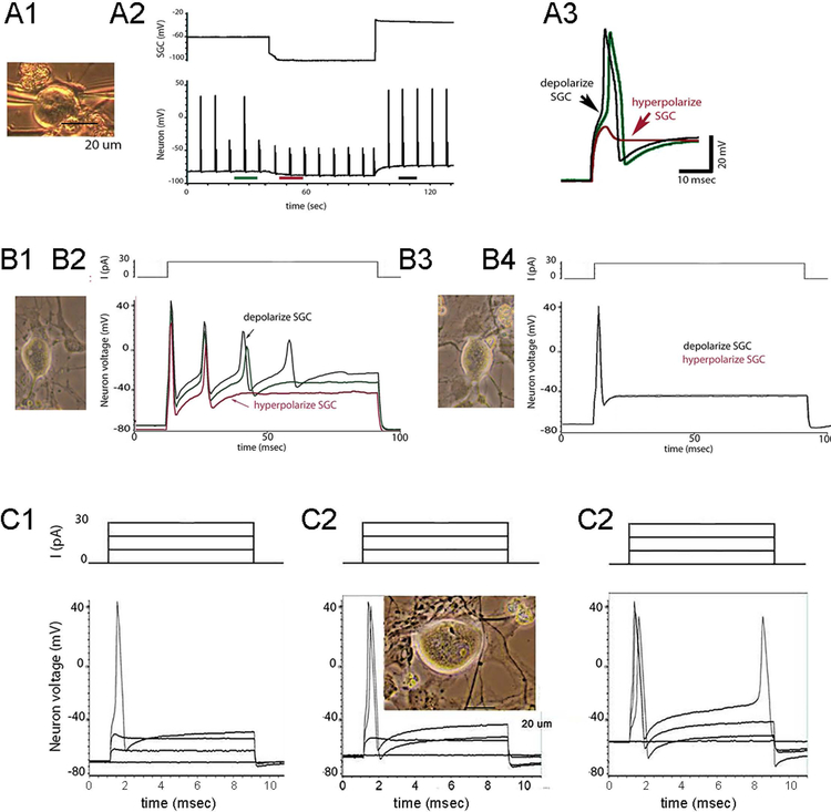 Figure 6.