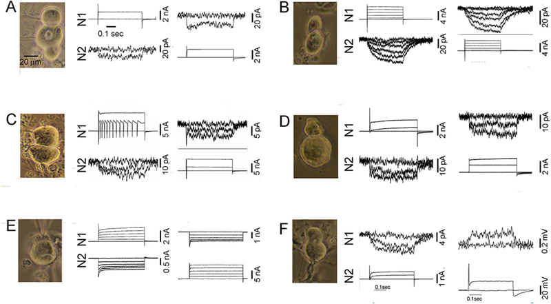 Figure 3.